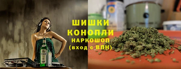 спайс Инта