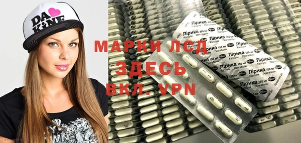 прущие грибы Семилуки