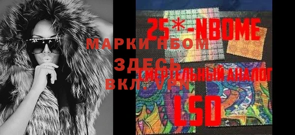 круглые Инсар