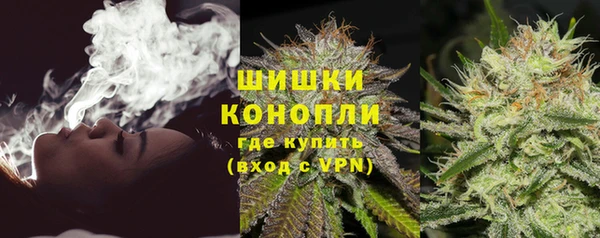 спайс Инта