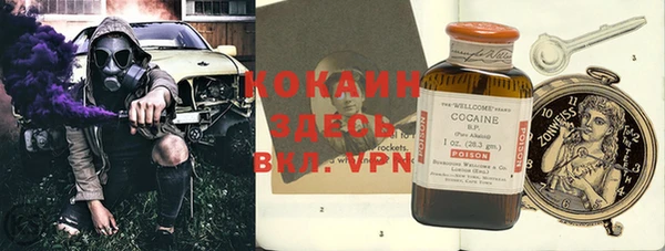 спайс Инта