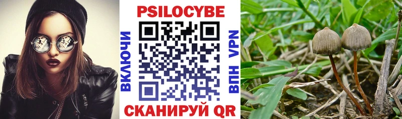 Галлюциногенные грибы мухоморы  Купить  Изобильный 